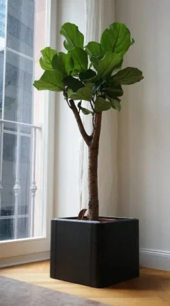 Jardinière en cuir style années 50 de De Sede