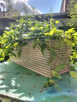 Jardinière Matégot