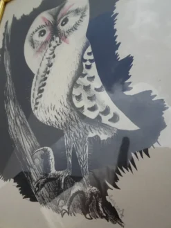 Jean Lurçat Lithographie Chouette de Bonne espérance