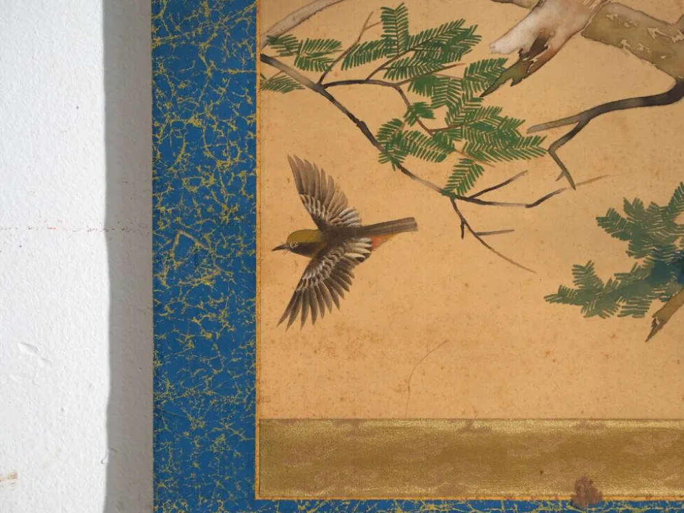 Kakejiku ancien japonais de rapace en couleur sur papier – Japon, vers 1900