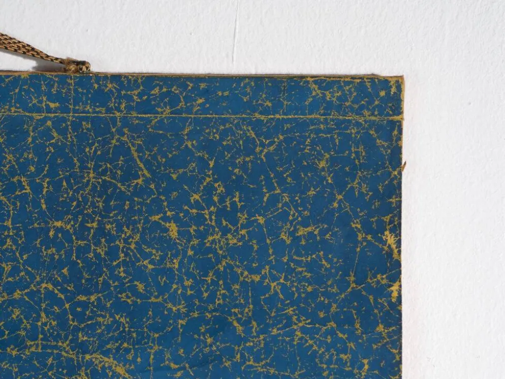 Kakejiku ancien japonais de rapace en couleur sur papier – Japon, vers 1900