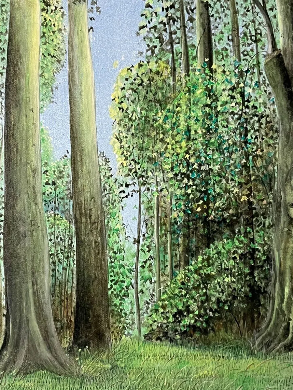 Kaki Brunet (1926-2012) "Printemps au bois" huile sur toile