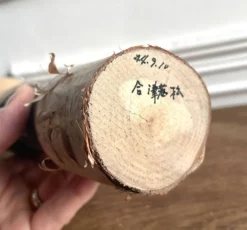 Kokhéshi
