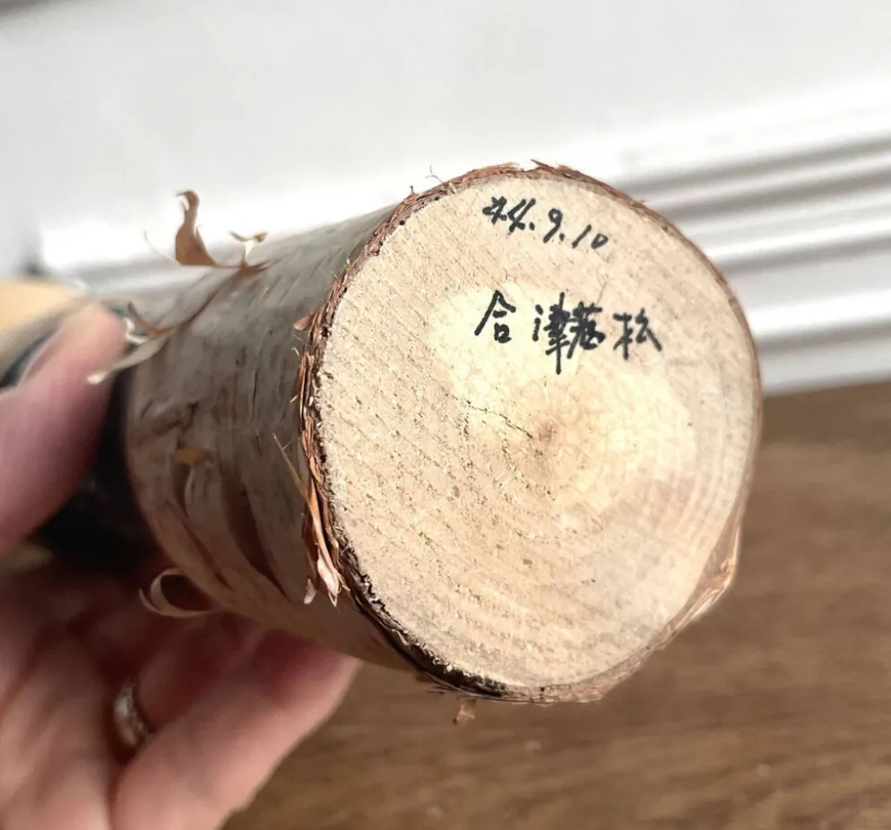 Kokhéshi