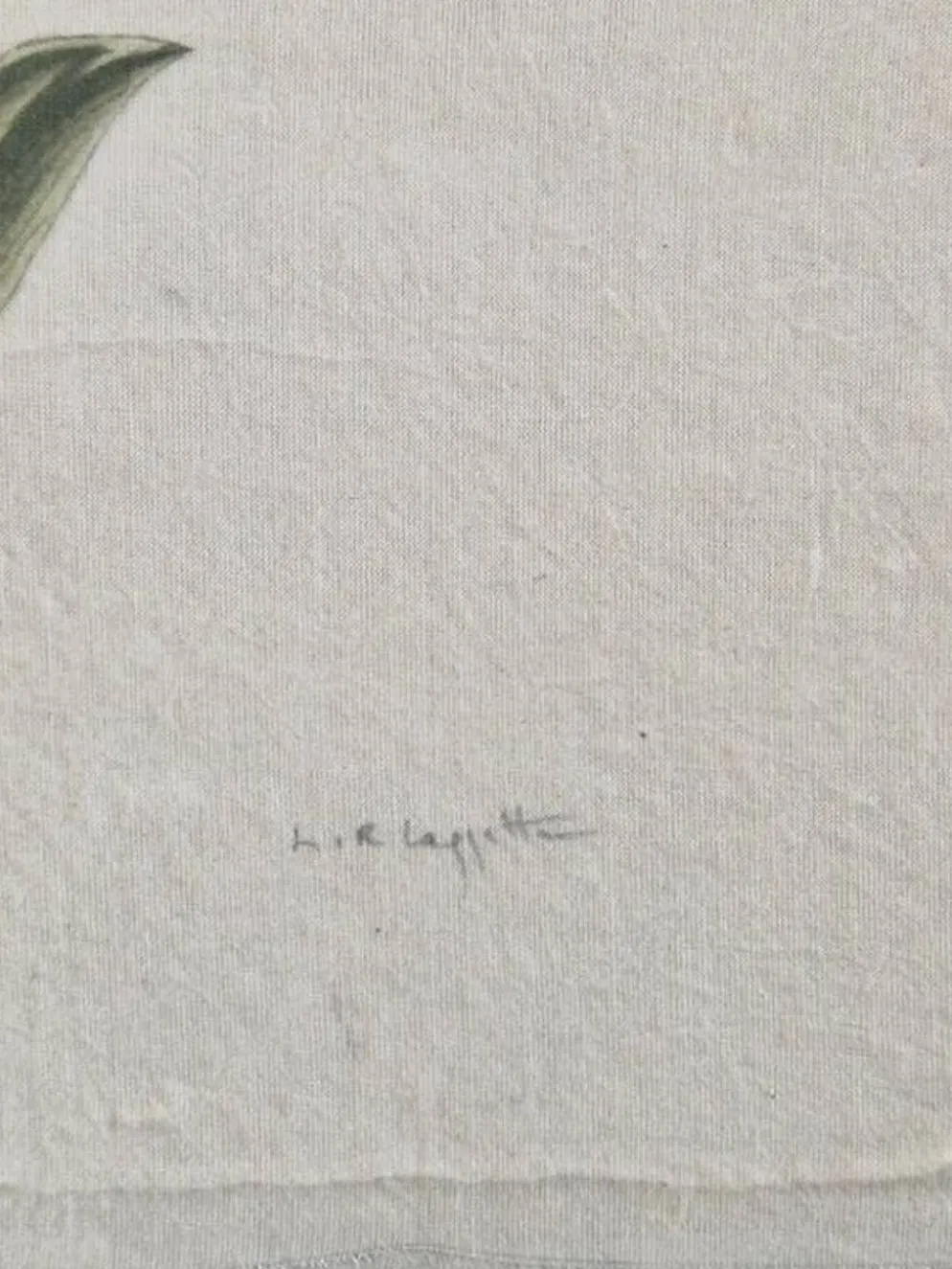 La Roche Laffitte (Né en 1943) - Dessin à l'aquarelle sur soie - Souci