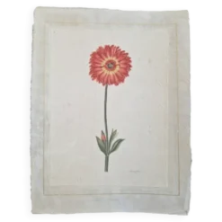 La Roche Laffitte (Né en 1943) - Dessin à l'aquarelle sur soie - Souci