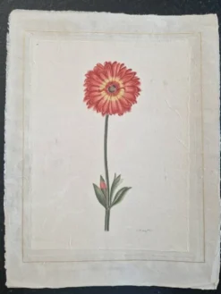 La Roche Laffitte (Né en 1943) - Dessin à l'aquarelle sur soie - Souci
