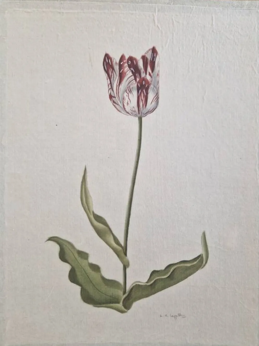 La Roche Laffitte (Né en 1943) - Dessin à l'aquarelle sur soie - Tulipe