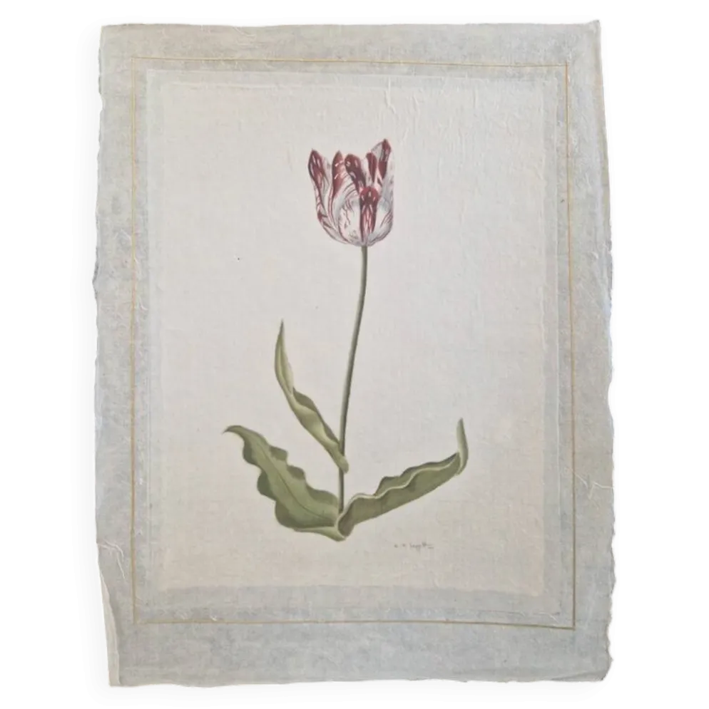 La Roche Laffitte (Né en 1943) - Dessin à l'aquarelle sur soie - Tulipe