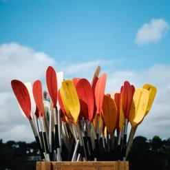 Le Bouquet