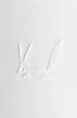 Le petit prince ( le renard)