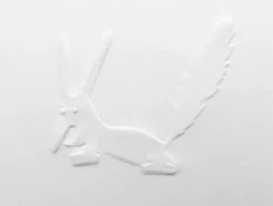 Le petit prince ( le renard)