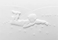 Le petit prince ( le repos)