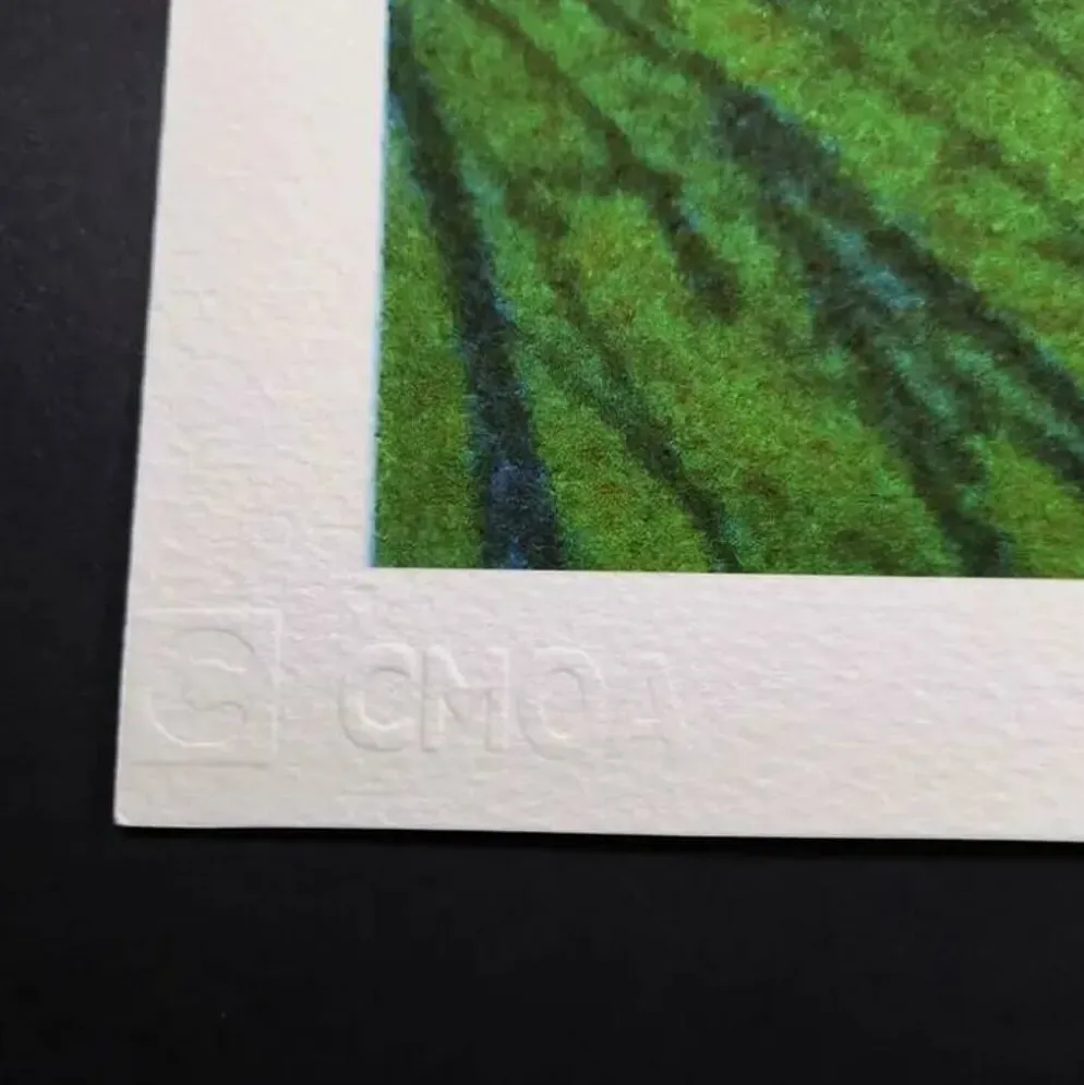 Lithographie Édition Limitée "Fleurs" par Andy Warhol par CMOA - Après - COA