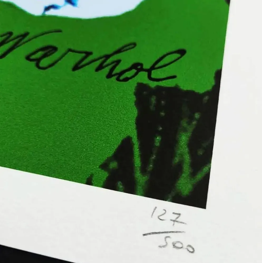 Lithographie en édition limitée "Fleurs" par Andy Warhol, années 1980, publiée par CMOA