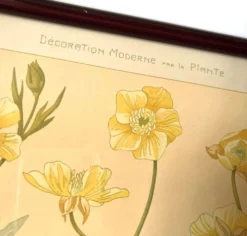 4 lithographies florales 1900