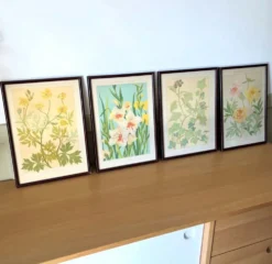 4 lithographies florales 1900
