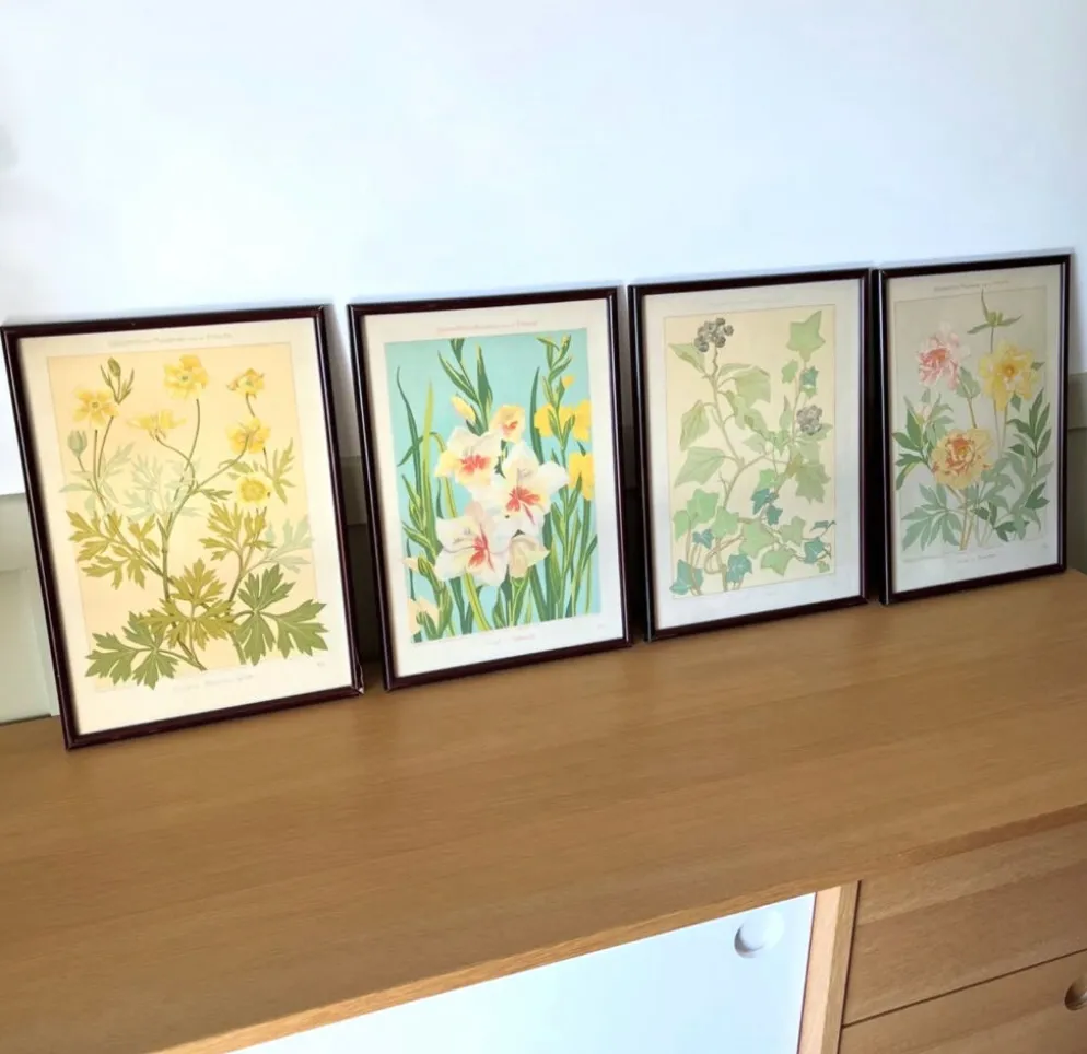 4 lithographies florales 1900