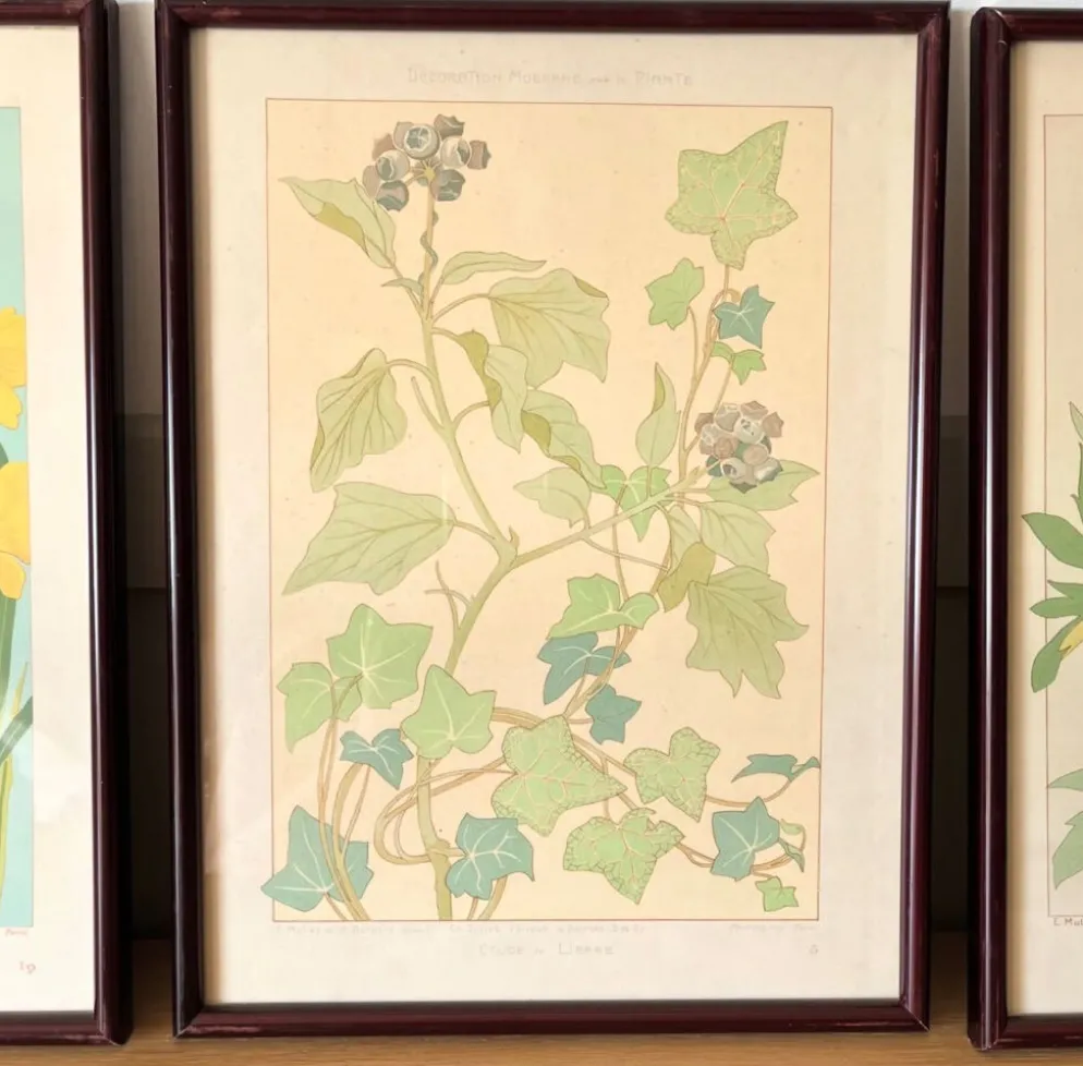 4 lithographies florales 1900