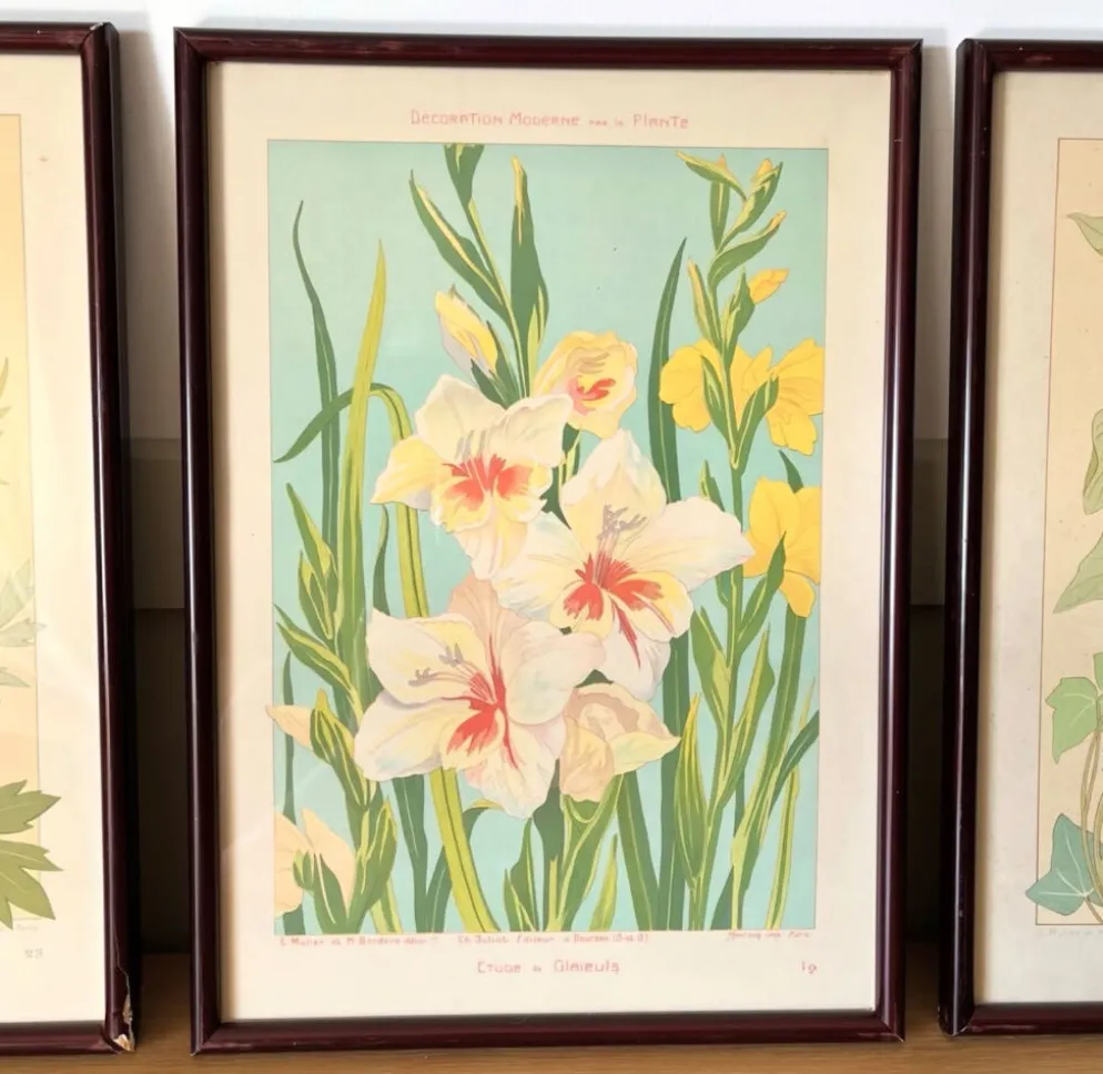 4 lithographies florales 1900