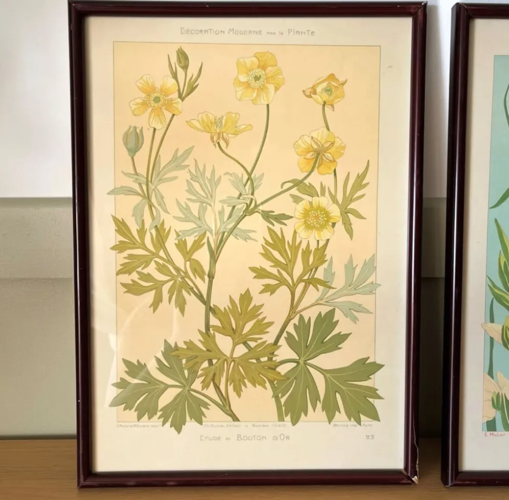4 lithographies florales 1900