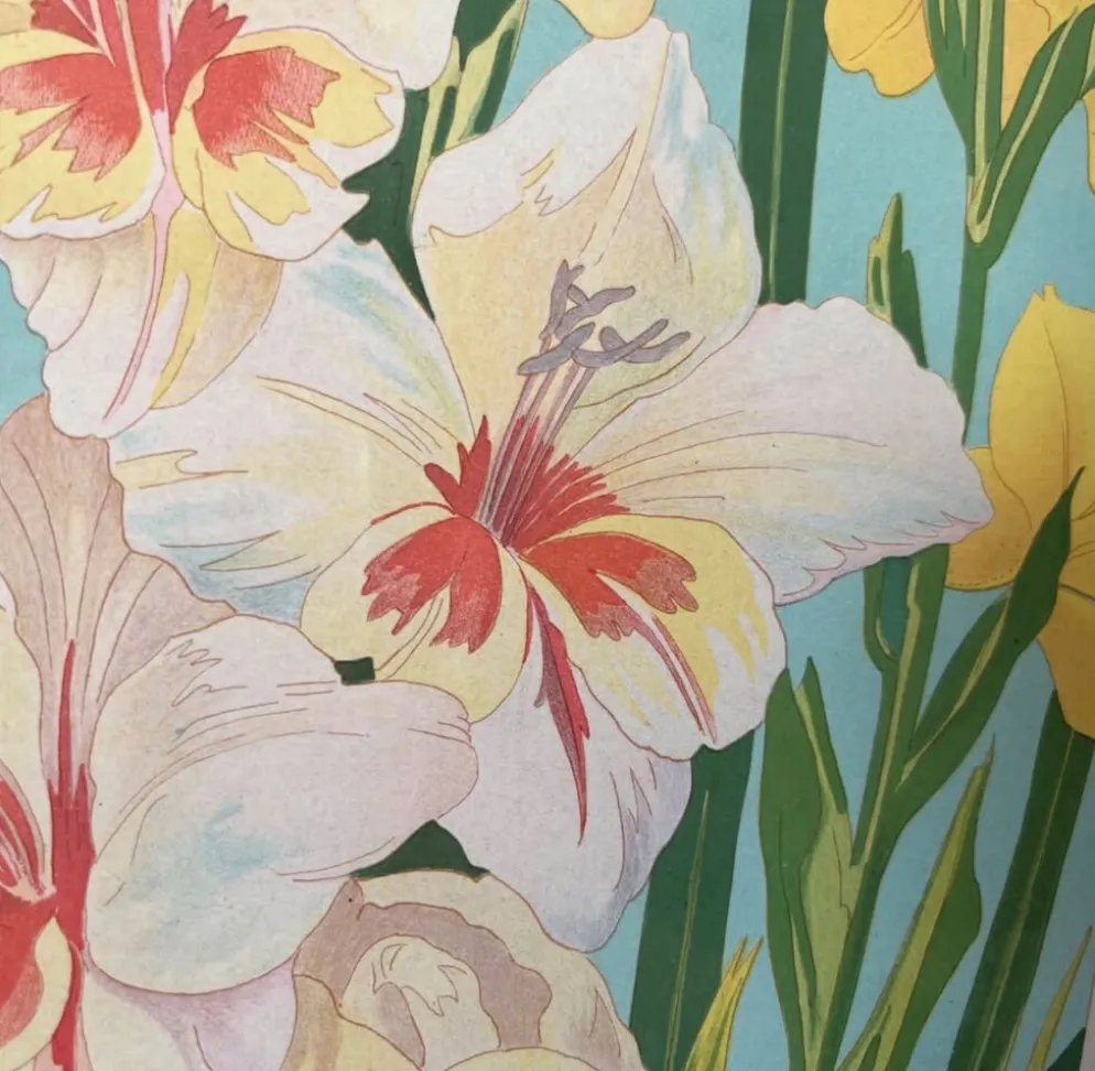 4 lithographies florales 1900