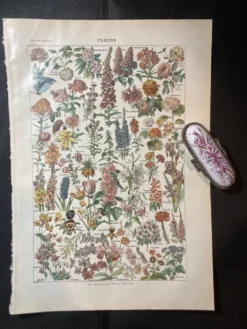 Lithographie sur les fleurs de 1922