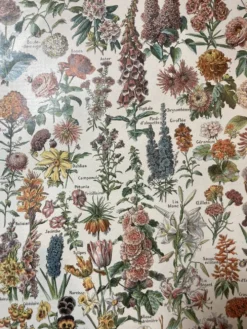 Lithographie sur les fleurs de 1922