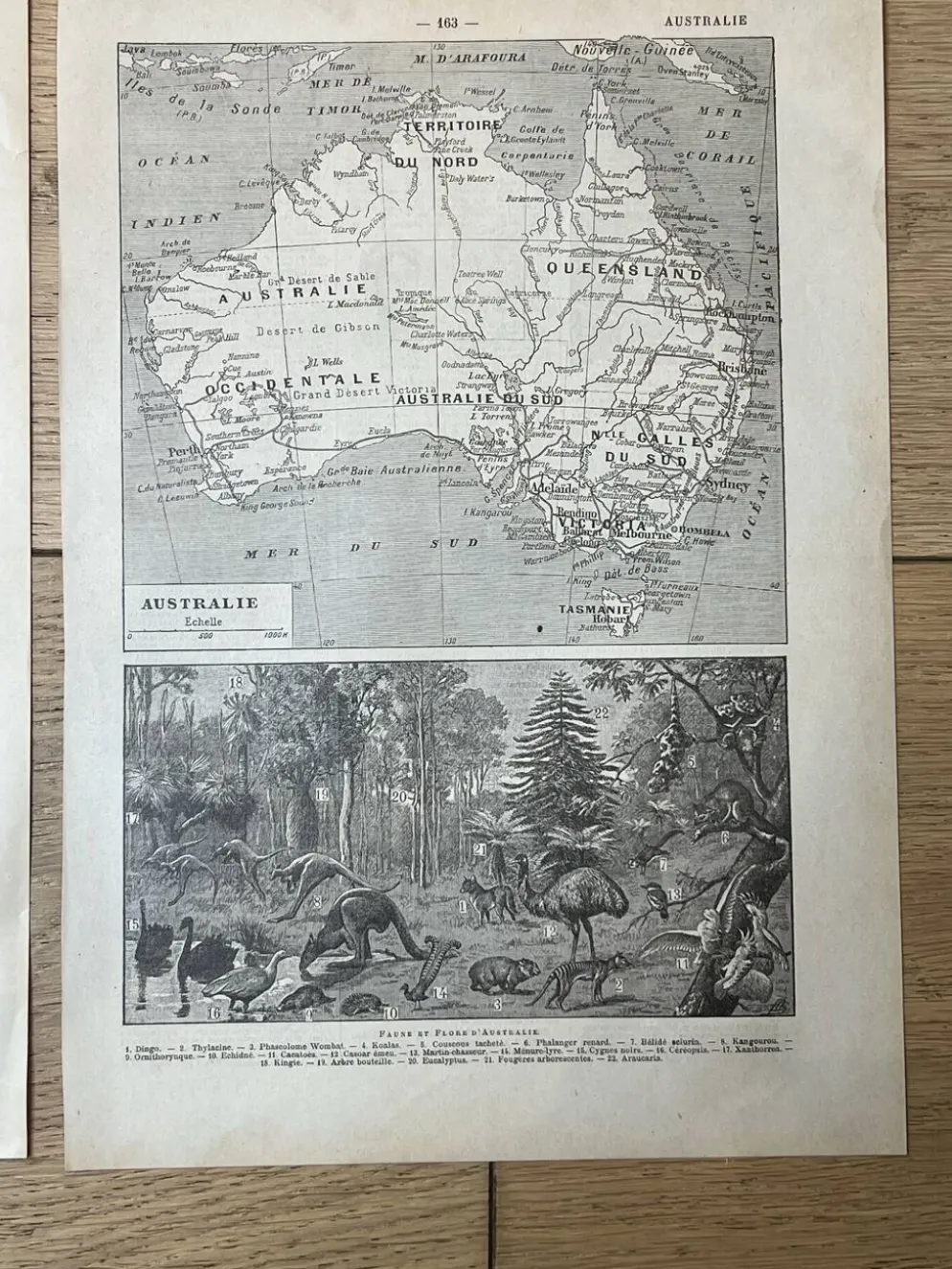 Lot de 2 cartes - Indes et Australie 20x29cm