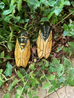 Lot de 2 cigales céramique jaune vintage