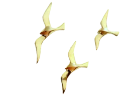 Lot de 3 oiseaux, 15 - 20 -25 cm