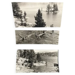 Lot de 3 photos anciennes Bernard Darot Lac Ile Sapins XXe
