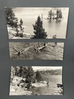 Lot de 3 photos anciennes Bernard Darot Lac Ile Sapins XXe