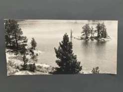 Lot de 3 photos anciennes Bernard Darot Lac Ile Sapins XXe