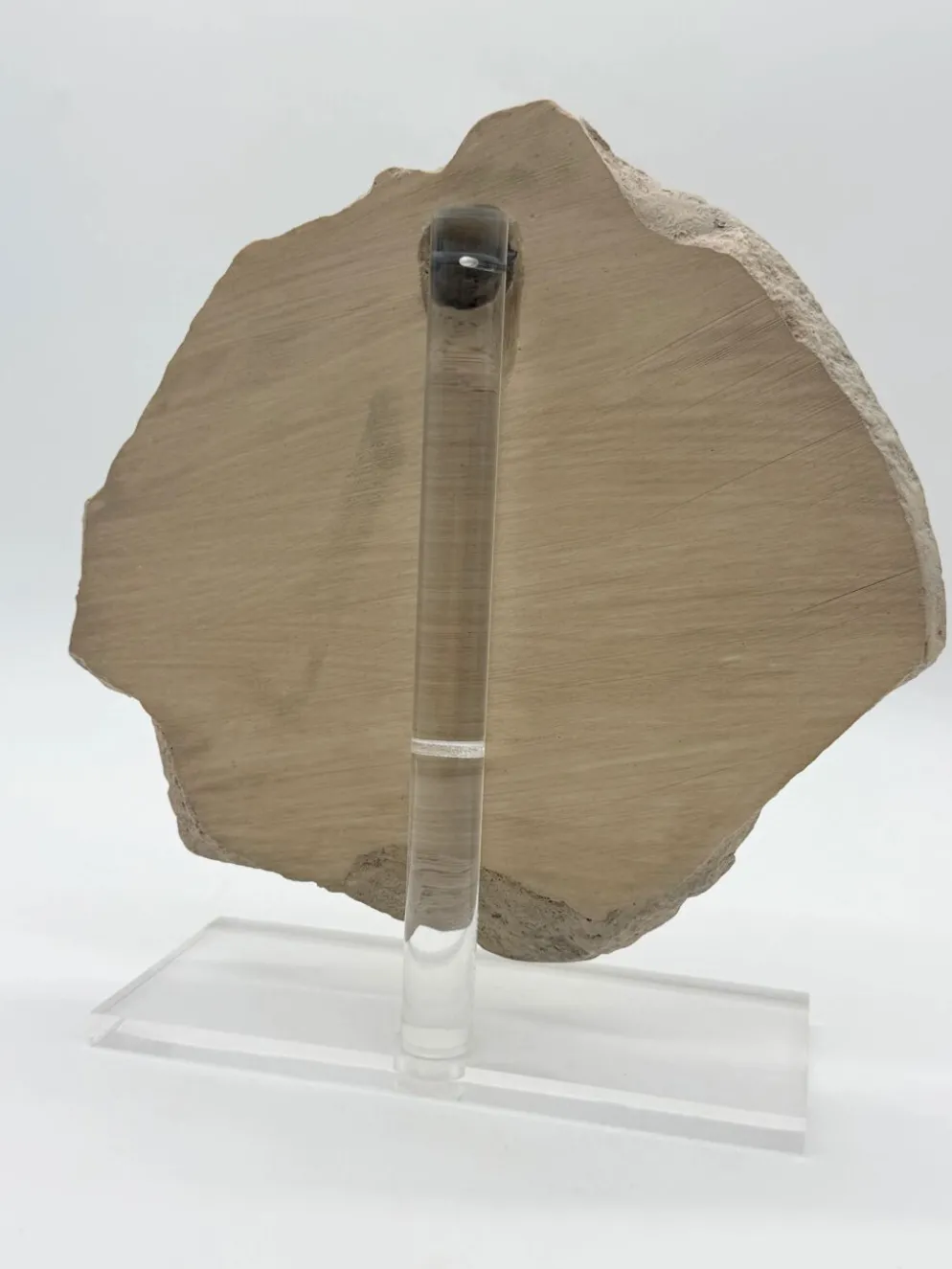 Masque de femme XIVe – reproduction musée du Louvre