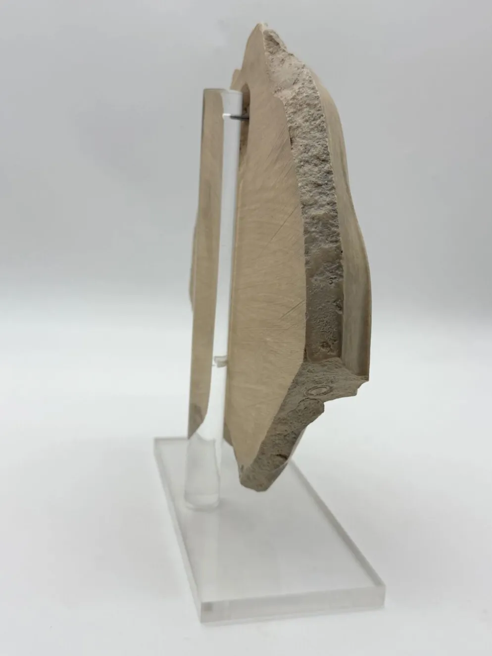 Masque de femme XIVe – reproduction musée du Louvre