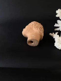 Mini Tête sculptée tête cuite