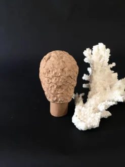 Mini Tête sculptée tête cuite