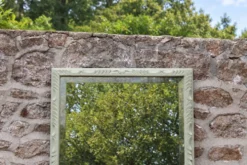 Miroir ancien biseauté en bois massif sculpté vert Lézard –