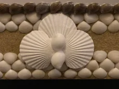 Miroir en bois et coquillages