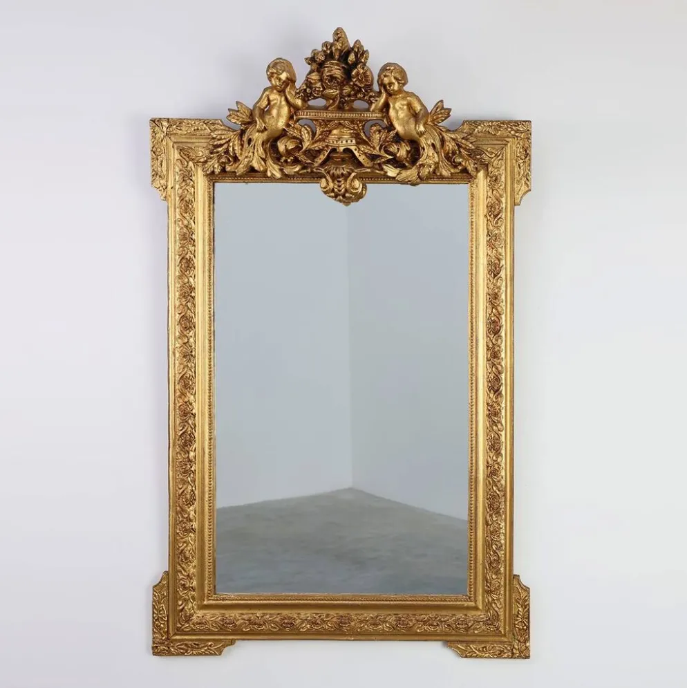 Miroir en chêne doré richement sculpté de style rococo français, 19e siècle