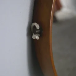 Miroir - Teck - Structure en bois avec laiton - Design italien vintage - Années 60