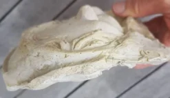 Moulage en platre visage vierge