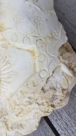 Moulage en platre visage vierge