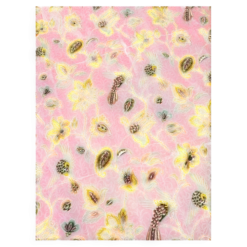 Nappe