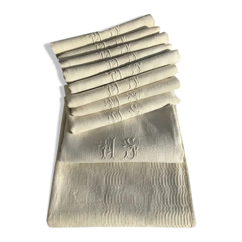 Nappe rectangle MS neuve et 9 serviettes assorties