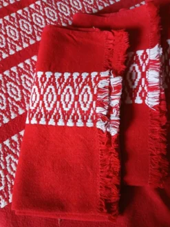 Nappe + 12 serviettes anciennes