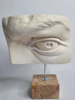 Oeil du 