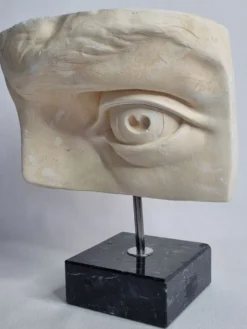 Oeil du