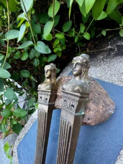 2 ornements pour meuble en bronze Art Nouveau